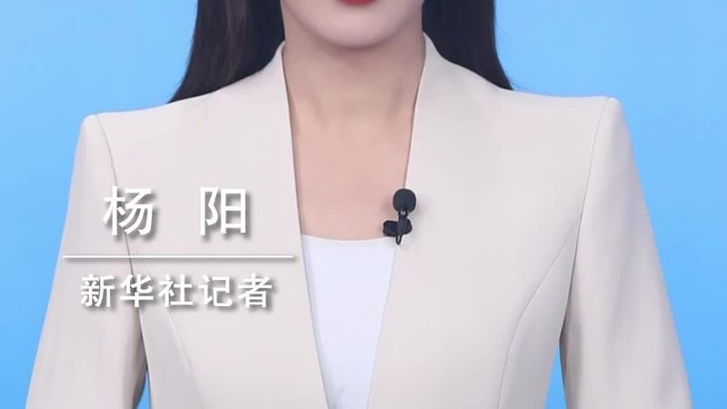 上海数据服务公司技术方案：架构优化与性能提升的关键要素**